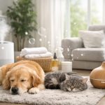 cum-sa-eliminati-definitiv-mirosul-de-animale-de-companie-din.png