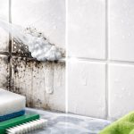 mucegaiul-negru-va-disparea-din-rosturile-placilor-in-10-minute.png